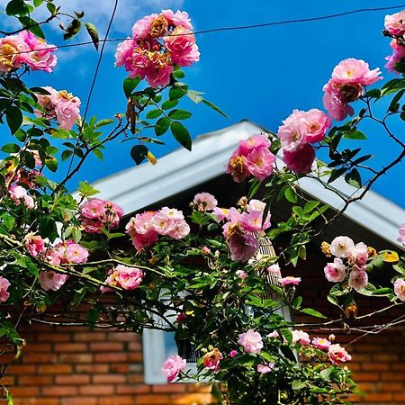 Rose House Διαμέρισμα Νταλάτ Εξωτερικό φωτογραφία